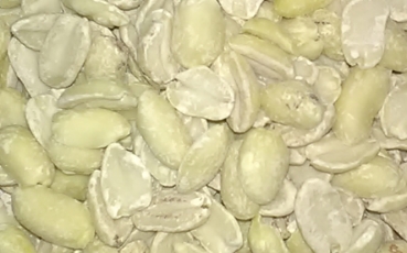 Erdnusskerne, blanchiert