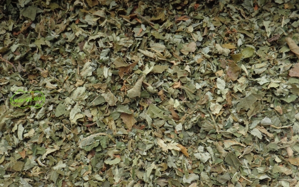 Haselnuss-Blätter grob, getrocknet